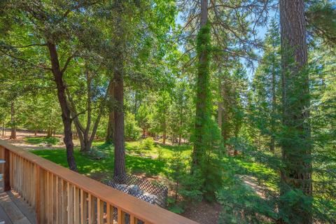 25644 Overland Dr, Volcano, CA 95689 photo 47