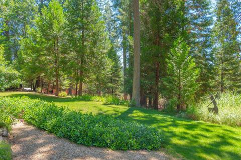 25644 Overland Dr, Volcano, CA 95689 photo 38