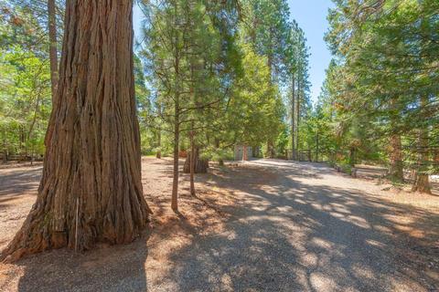 25644 Overland Dr, Volcano, CA 95689 photo 3