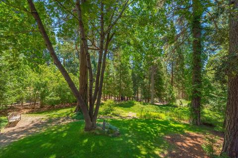 25644 Overland Dr, Volcano, CA 95689 photo 50