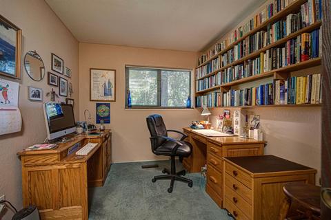 25644 Overland Dr, Volcano, CA 95689 photo 22