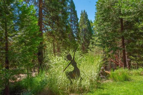 25644 Overland Dr, Volcano, CA 95689 photo 39