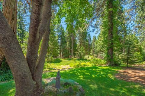 25644 Overland Dr, Volcano, CA 95689 photo 37