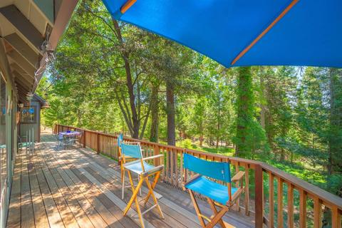 25644 Overland Dr, Volcano, CA 95689 photo 46