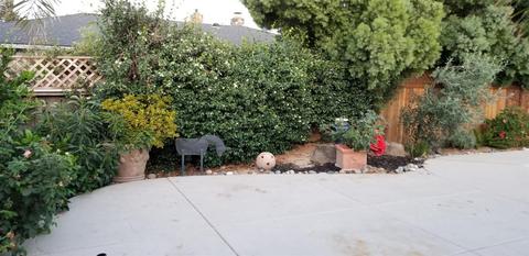 1152 Devine Dr, Lodi, CA 95240 photo 46