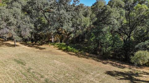 3102 Dyer Way, Placerville, CA 95667 photo 31