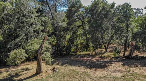 3102 Dyer Way, Placerville, CA 95667 photo 29