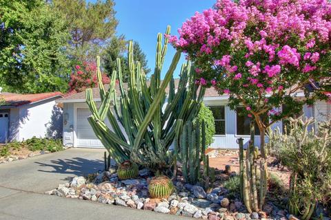 223 Baja Ave, Davis, CA 95616 photo 3