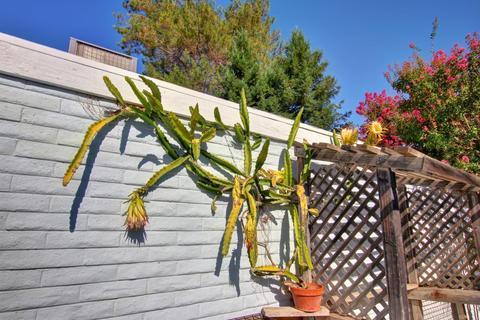 223 Baja Ave, Davis, CA 95616 photo 29