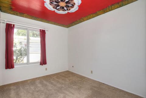 223 Baja Ave, Davis, CA 95616 photo 23