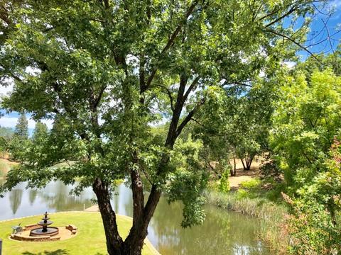 22702 Lencrest Ln, Grass Valley, CA 95949 photo 10