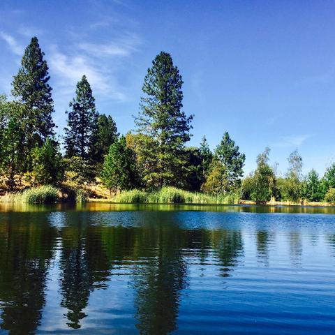 22702 Lencrest Ln, Grass Valley, CA 95949 photo 70
