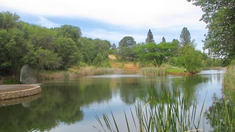 22702 Lencrest Ln, Grass Valley, CA 95949 photo 55