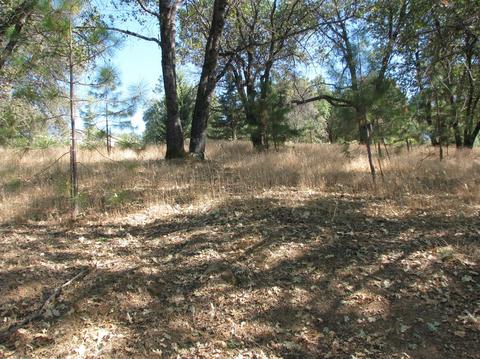 22702 Lencrest Ln, Grass Valley, CA 95949 photo 60