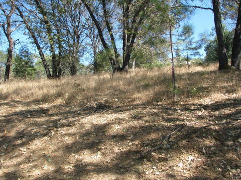 22702 Lencrest Ln, Grass Valley, CA 95949 photo 59