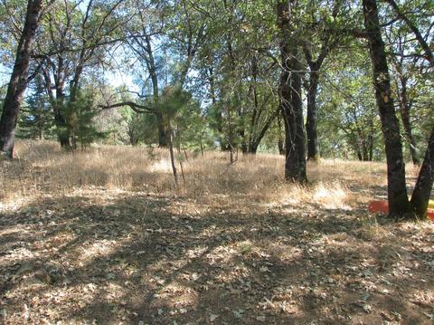 22702 Lencrest Ln, Grass Valley, CA 95949 photo 62