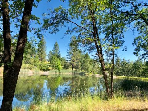22702 Lencrest Ln, Grass Valley, CA 95949 photo 53