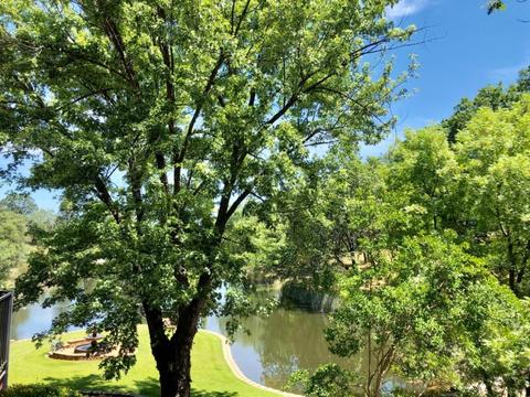 22702 Lencrest Ln, Grass Valley, CA 95949 photo 64