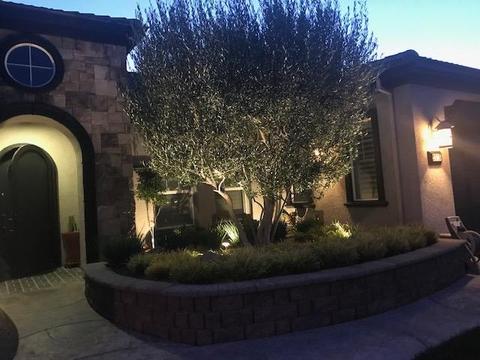 2515 Strawberry Patch Ln, Manteca, CA 95336 photo 41