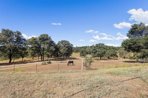 12976 Wolf Rd, Grass Valley, CA 95949 photo 13