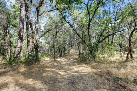 12976 Wolf Rd, Grass Valley, CA 95949 photo 17