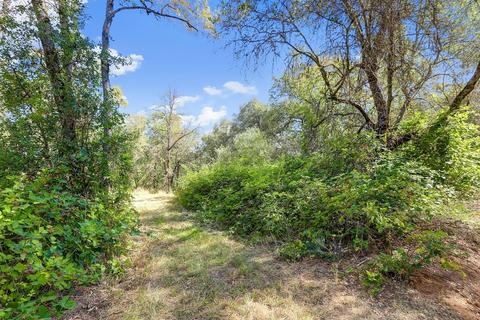 12976 Wolf Rd, Grass Valley, CA 95949 photo 15