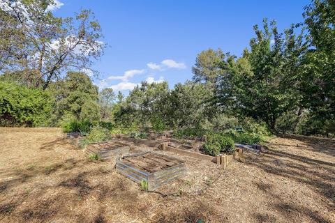 12976 Wolf Rd, Grass Valley, CA 95949 photo 19