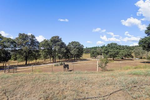 12976 Wolf Rd, Grass Valley, CA 95949 photo 11