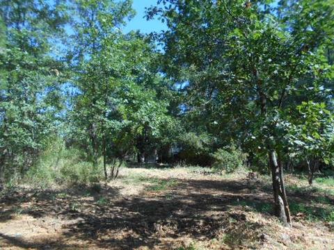 12238 Mccourtney Rd, Grass Valley, CA 95949 photo 10