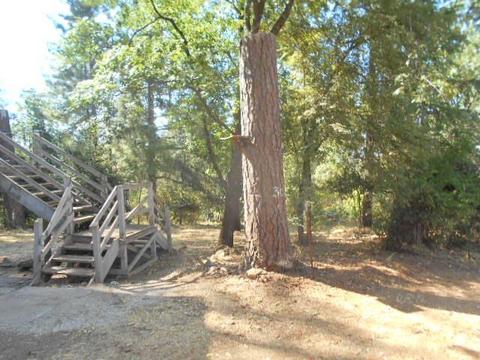 12238 Mccourtney Rd, Grass Valley, CA 95949 photo 3