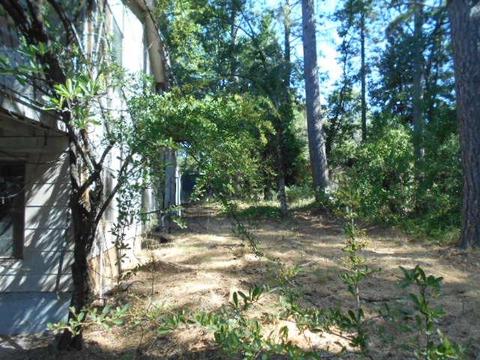 12238 Mccourtney Rd, Grass Valley, CA 95949 photo 5