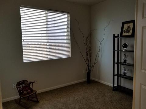 4480 Maplecrest Ct, Tracy, CA 95377 photo 15