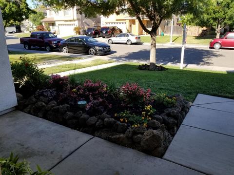 4480 Maplecrest Ct, Tracy, CA 95377 photo 3