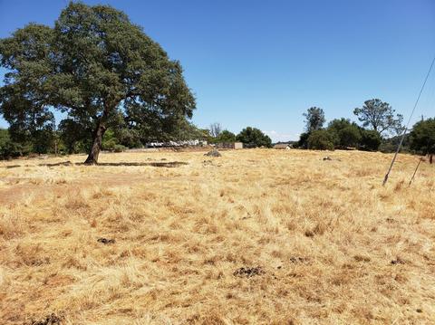 1824 Cool Way, Cool, CA 95614 photo 31