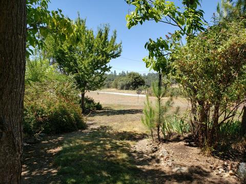 1824 Cool Way, Cool, CA 95614 photo 34