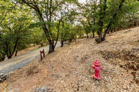 3255 Otter Pl, Cool, CA 95614 photo 37