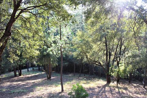 20401 Timber Rdg, Pine Grove, CA 95665 photo 30