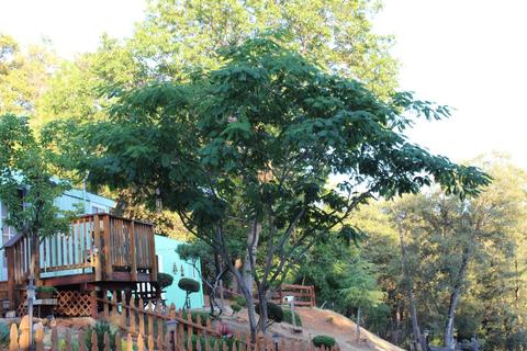 20401 Timber Rdg, Pine Grove, CA 95665 photo 3