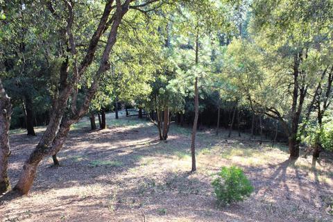 20401 Timber Rdg, Pine Grove, CA 95665 photo 29