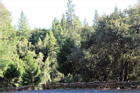20401 Timber Rdg, Pine Grove, CA 95665 photo 25