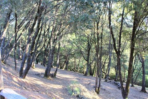 20401 Timber Rdg, Pine Grove, CA 95665 photo 31