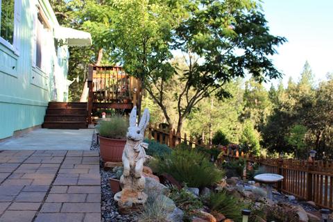 20401 Timber Rdg, Pine Grove, CA 95665 photo 20