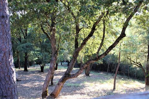 20401 Timber Rdg, Pine Grove, CA 95665 photo 32