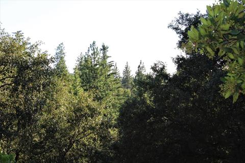 20401 Timber Rdg, Pine Grove, CA 95665 photo 24