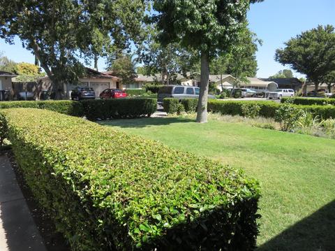 1213 Marymar Dr, Modesto, CA 95355 photo 6