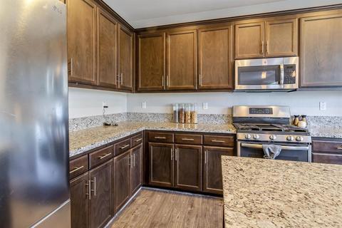 1229 Darrow Dr, Lathrop, CA 95330 photo 19