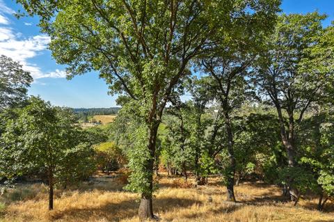 1944 Union Ridge Rd, Placerville, CA 95667 photo 46