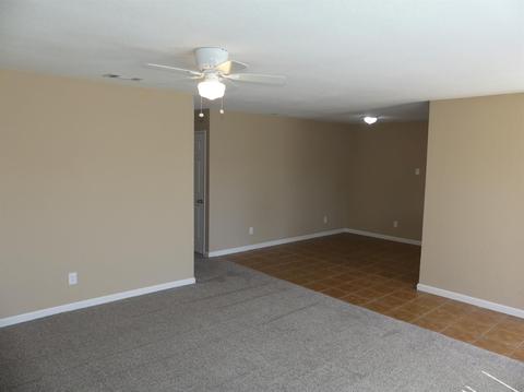 16325 Warfield Rd, Lathrop, CA 95330 photo 4