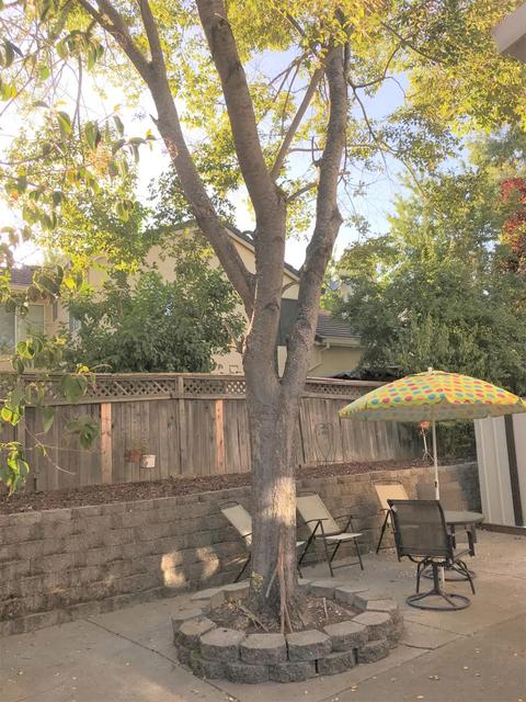8645 Shadow Crest Cir, Antelope, CA 95843 photo 58