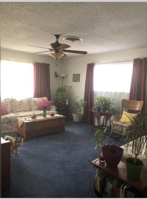 1925 Rebecca Ln, Sutter, CA 95982 photo 3